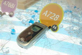 2005年中國國際通信設(shè)備技術(shù)展 8號館摩托羅拉產(chǎn)品秀圖片回顧